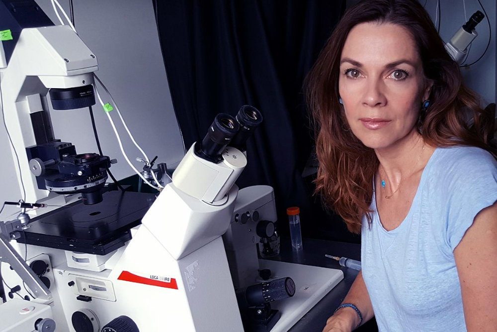 Hormone replacement therapy may protect the heart and brain after menopause