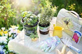 Spring into Gardening