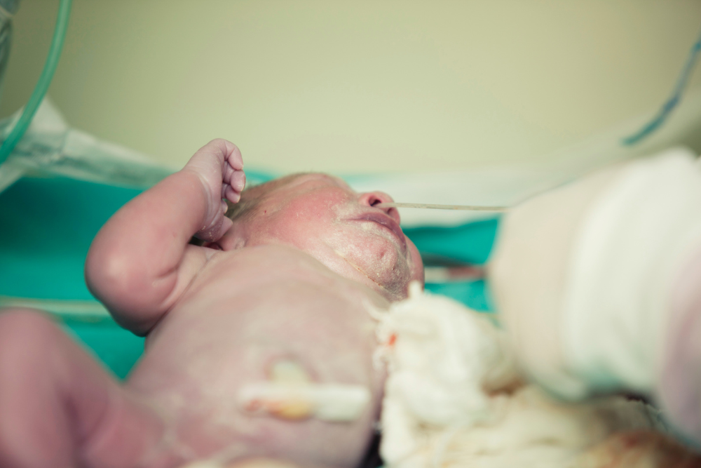 Governor Noem Announces Life.SD.gov Governor Noem Announces Life.SD.gov