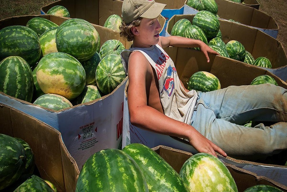 Melon Patch Market – Quimby on June 25