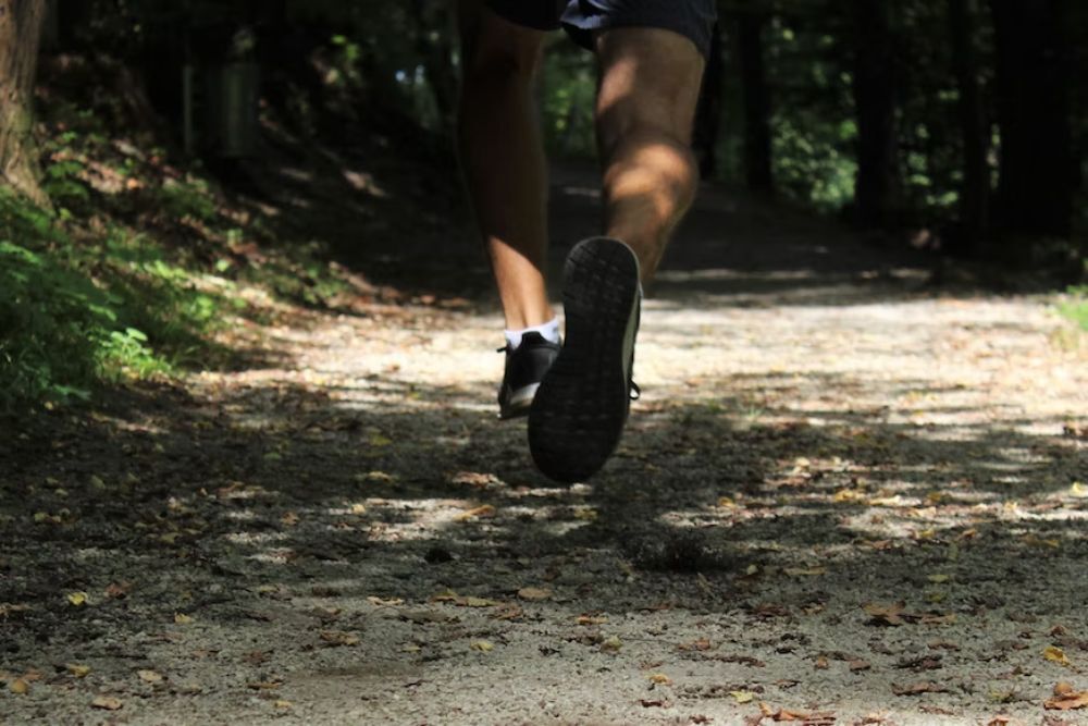 LBL Trail Run on March 11