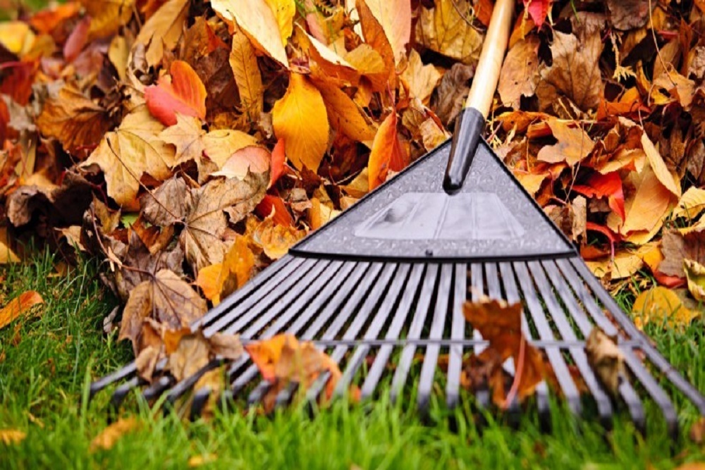 City of Aurora Clean Up 4/21 – 4/23