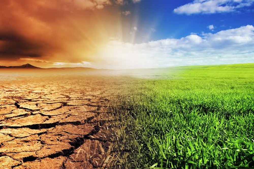 Earth Week: Climate Action Monday