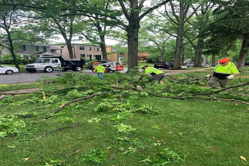 City of Clayton MO -Public Works Crews Are Hard at Work This Morning Clearing Fallen Limbs and Other Tree Debris From Last Night’s Storms