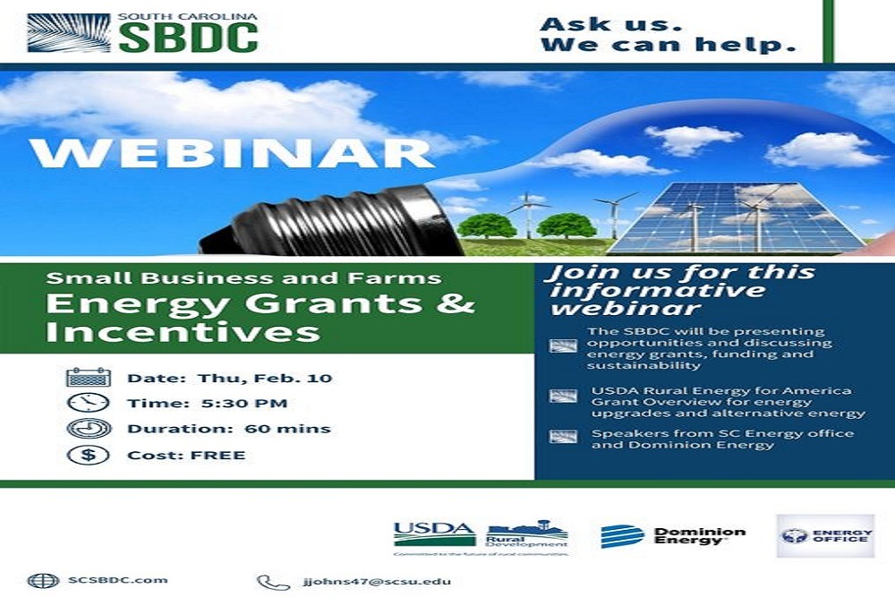 Southern Palmetto Regional Chamber: Small Business Energy Grants and Incentives