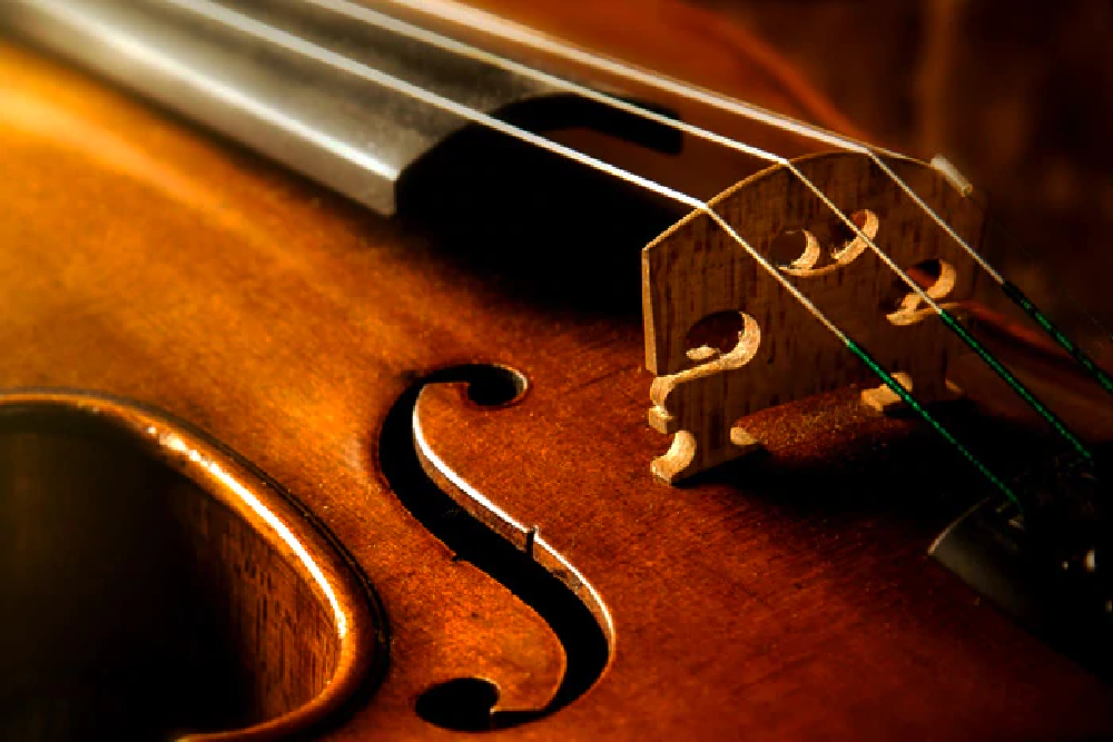 Senior Recital: Eliana Kearns, Violin on May 30, 2022