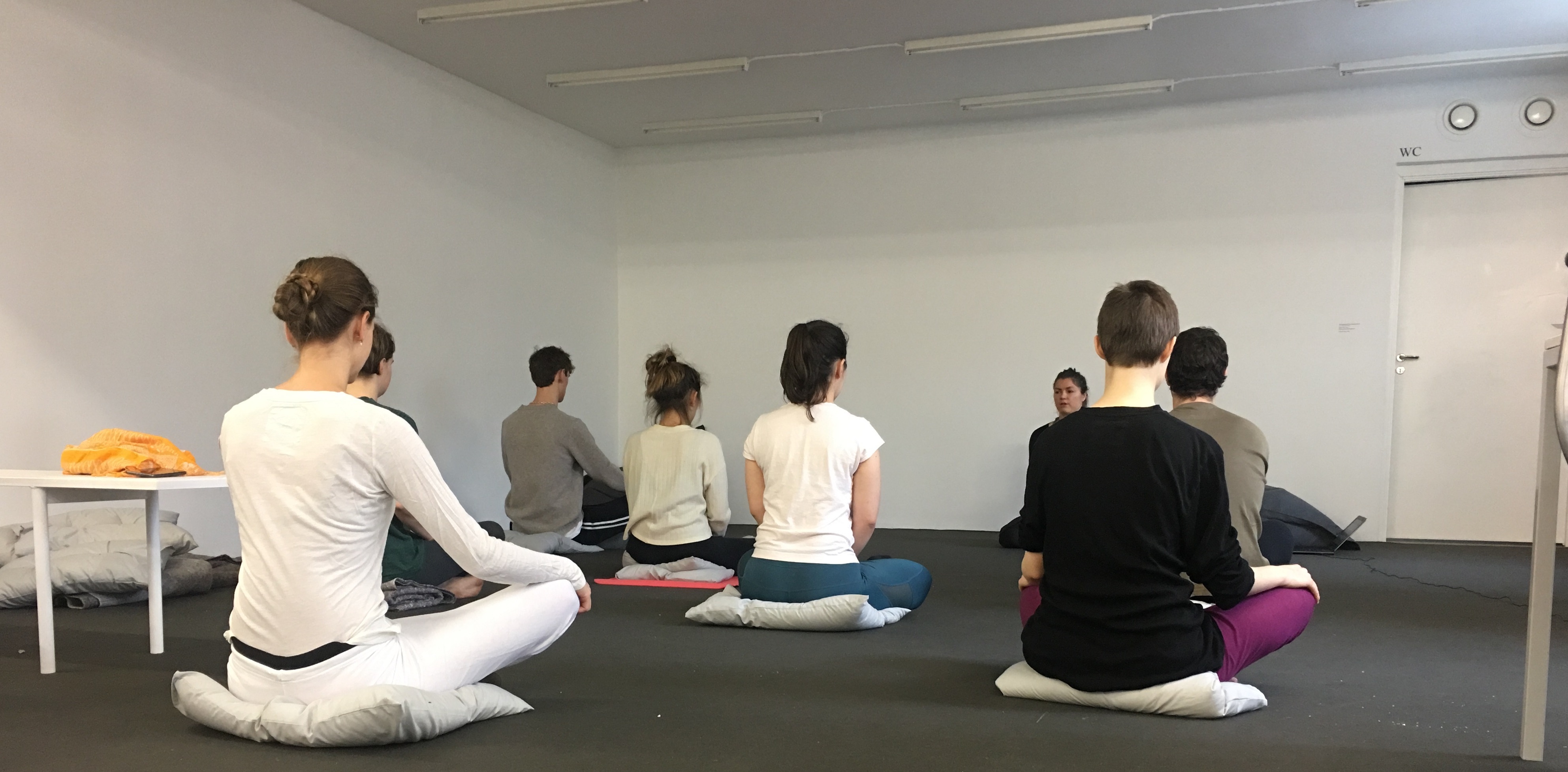 Gentle Yoga and Meditation class
