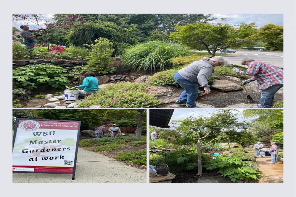 Thank you to everyone who helps keep the garden looking beautiful Thank you to everyone who helps keep the garden looking beautiful