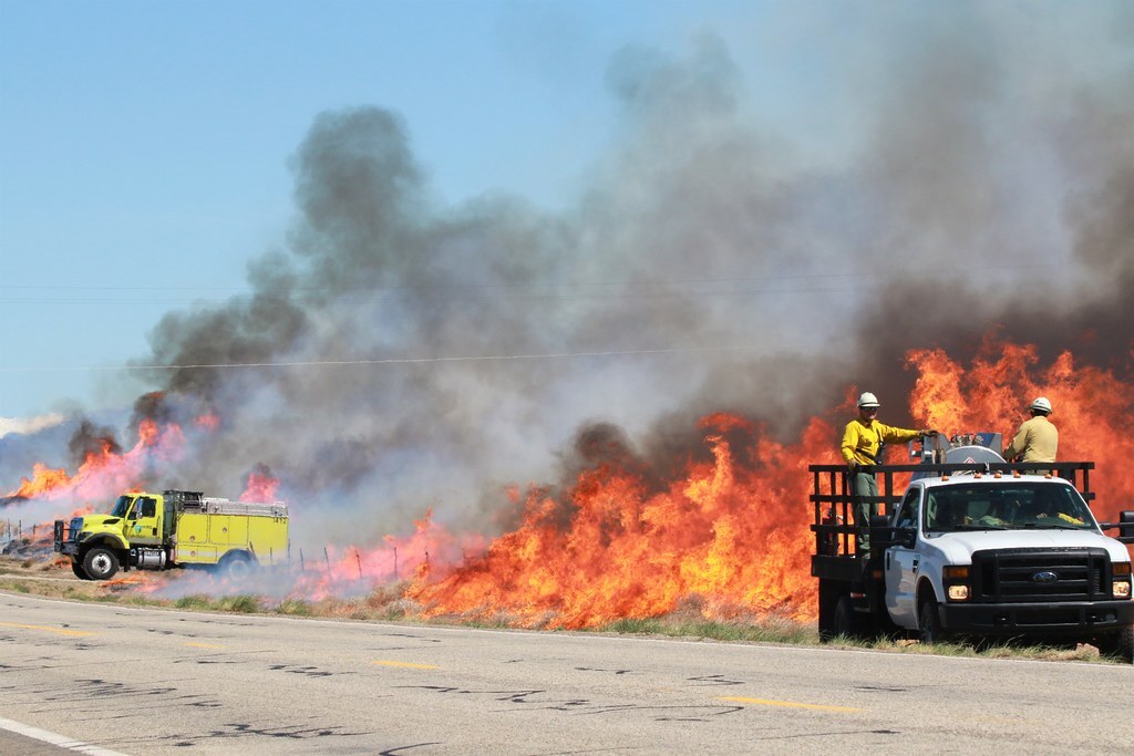 Tumbleweed Mitigation Burn