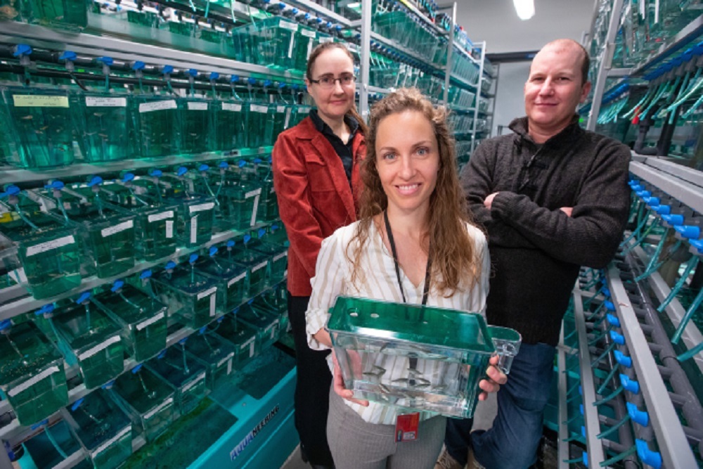 ISU scientists receive federal grant to advance research on blood stem cells