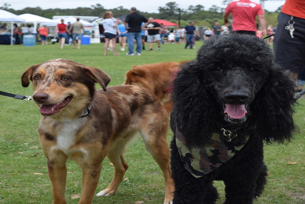 City of Myrtle Beach: Check Out The List Of Events Happening In Myrtle Beach