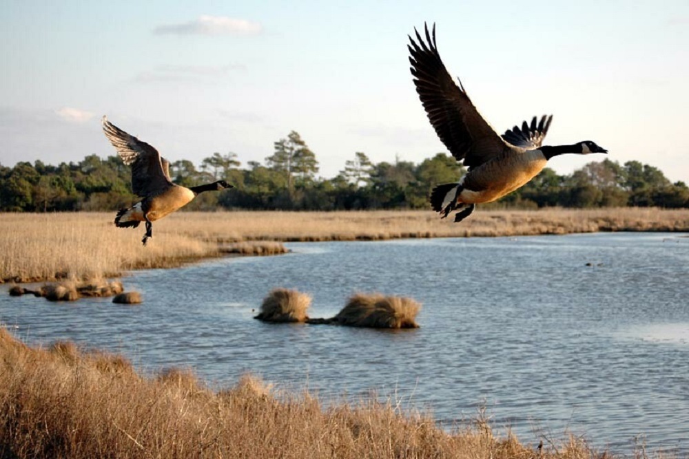 Fee Free Day – National Public Lands Day on September 25