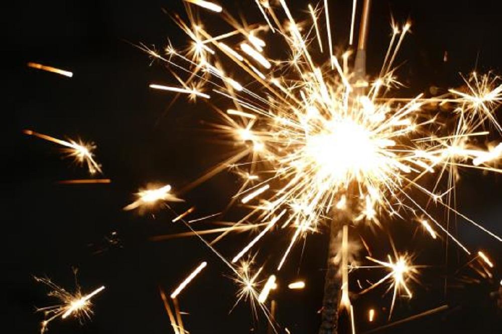 Holcomb Community Park Day