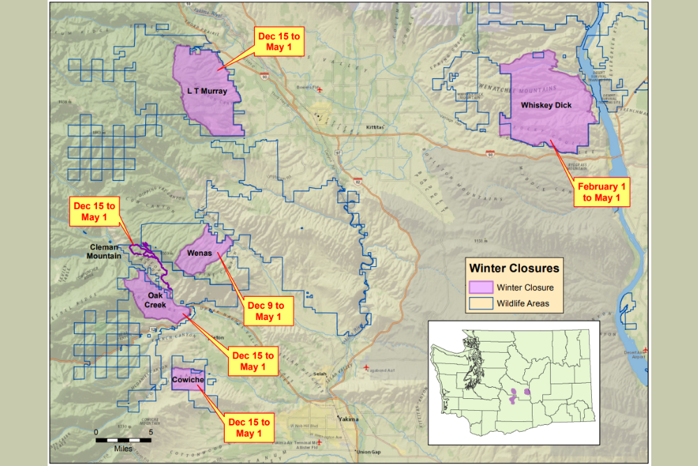 Winter closures to protect elk on Wenas, Oak Creek, and LT Murray wildlife areas start this month