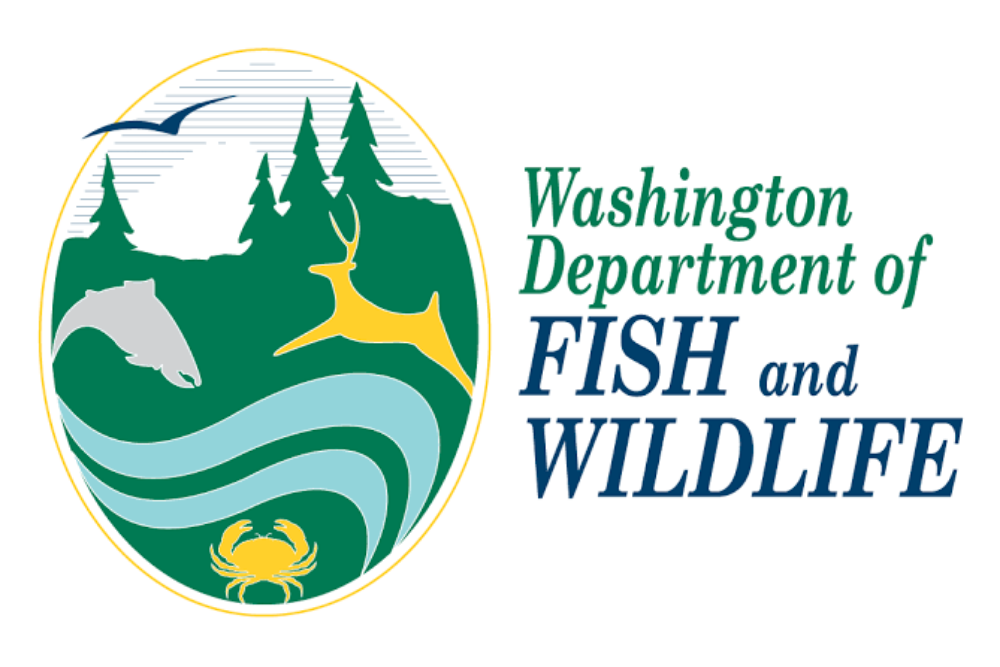 Public meeting scheduled to discuss Eastern Washington salmon and steelhead seasons