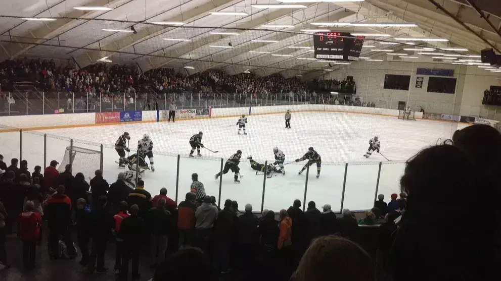 Blugolds secure top-25 finish in Learfield Directors’ Cup standings