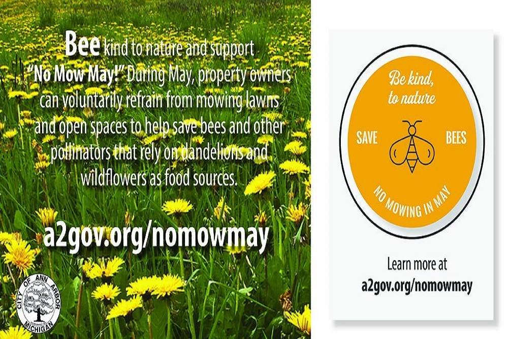 No Mow May