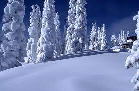 Cold weather
