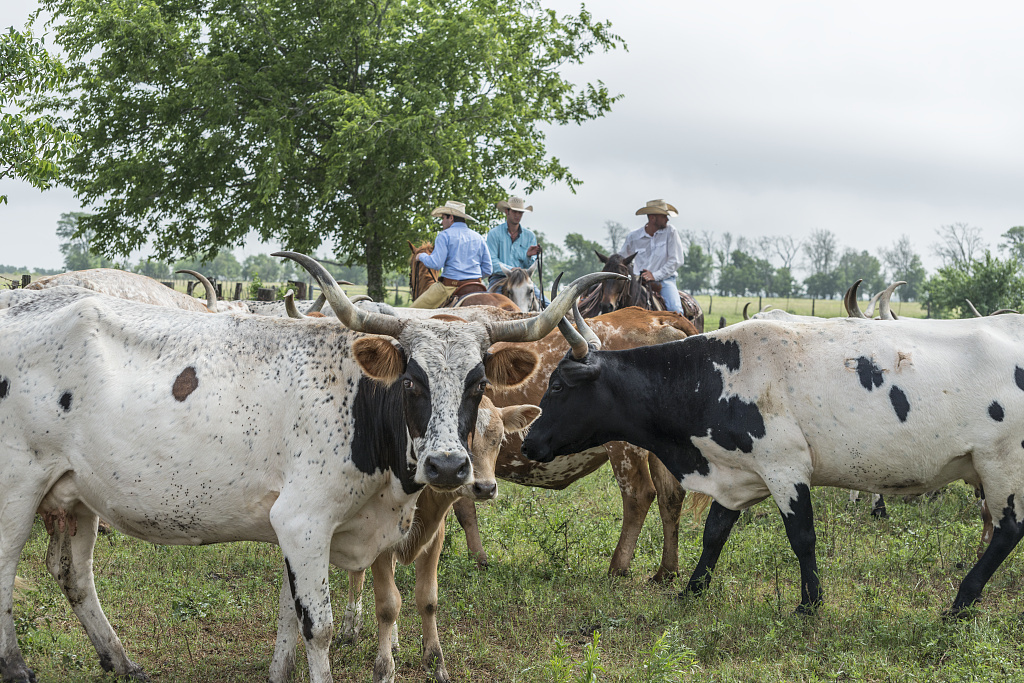 Sign-Up For Beef Quality Assurance Class Sign-Up For Beef Quality Assurance Class