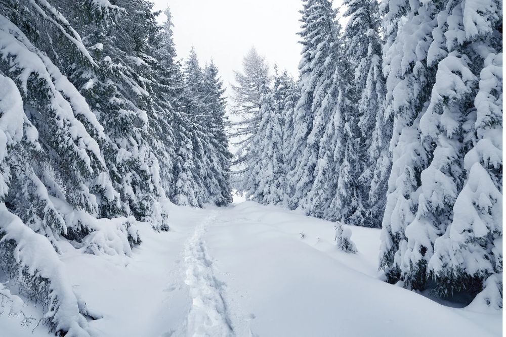 City of Sterling Heights issues SNOW EMERGENCY for Fri., Dec. 23