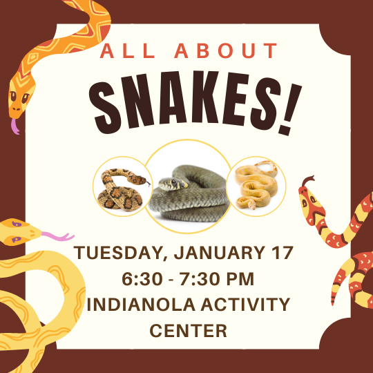 Snakes!