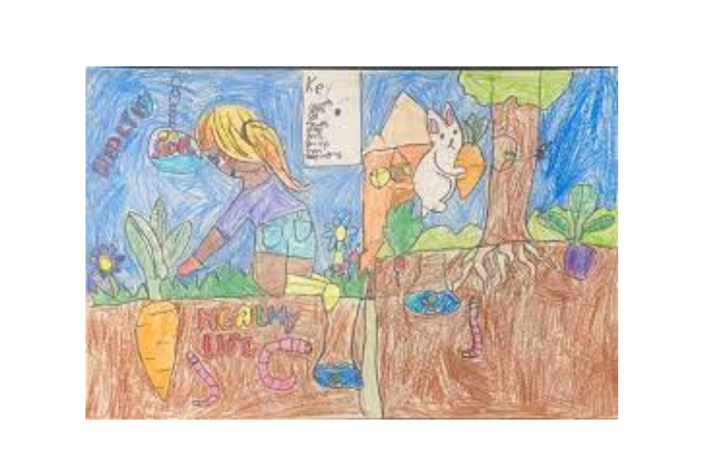 Annual Youth Poster Contest Winners Dig in for Conservation Education
