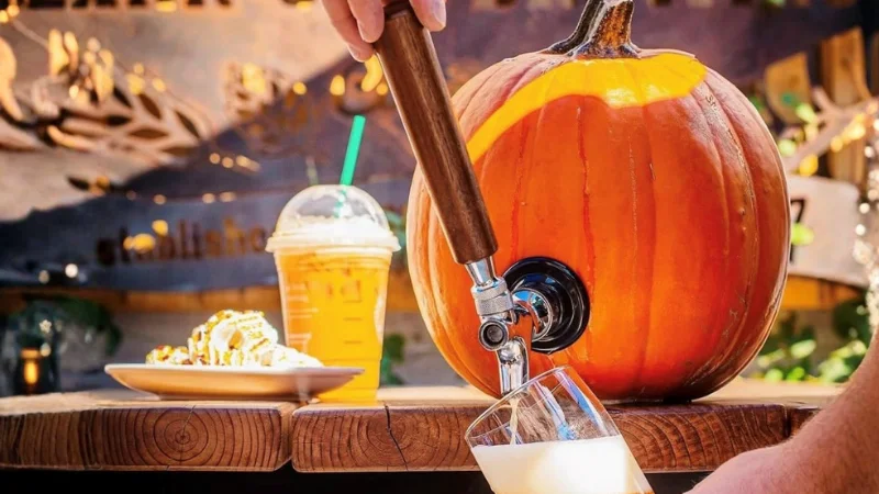 Dark Sky Brewing Co.