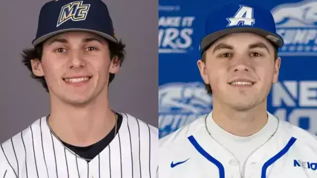 Which former Plymouth Reporter area high school standouts will be in action on Sunday, April 6?