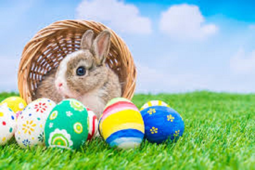 TOWN OF BEECH MOUNTAIN: Hoppy Easter Party