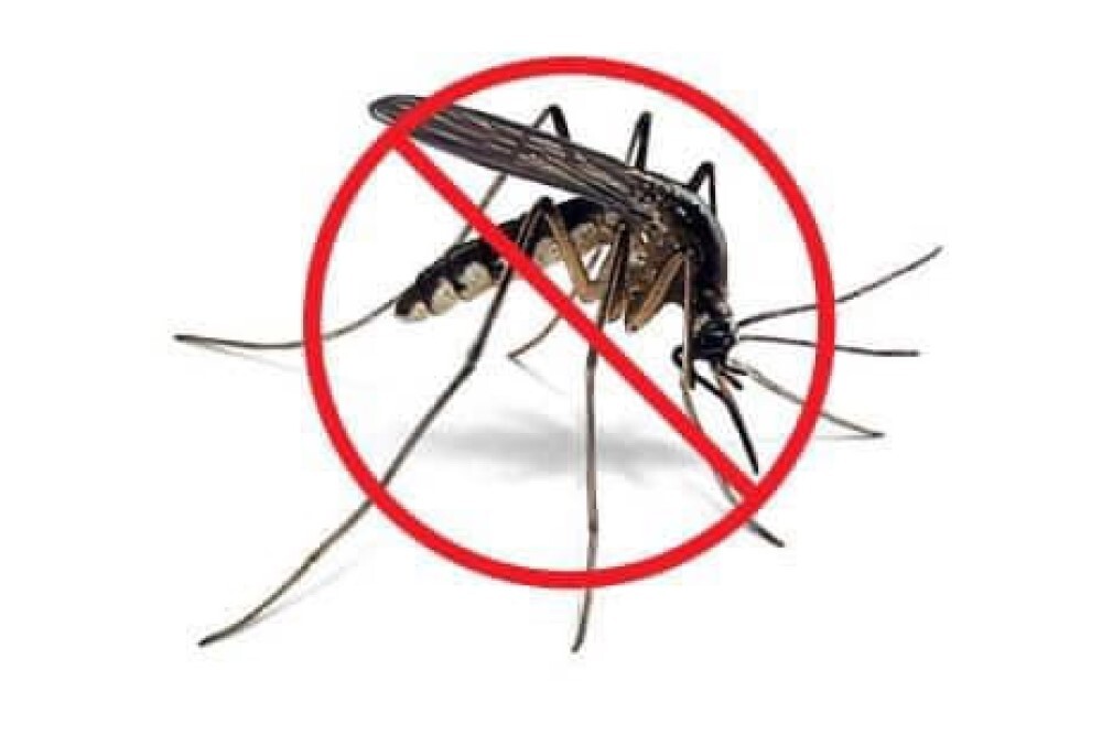 Here are some tips to help cut down on the mosquito population: