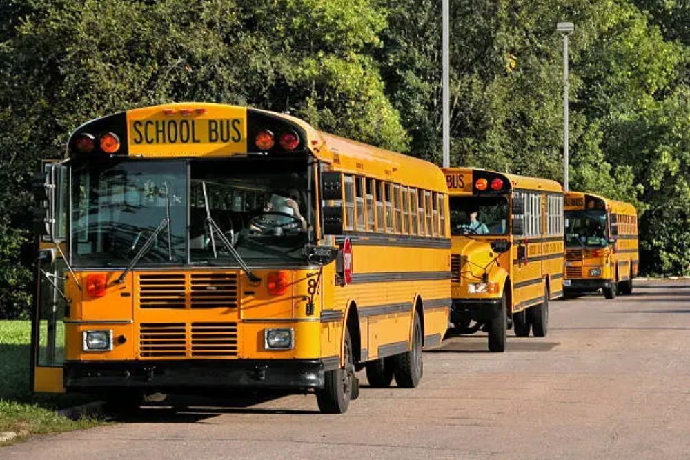 SAS should get more field trips SAS should get more field trips