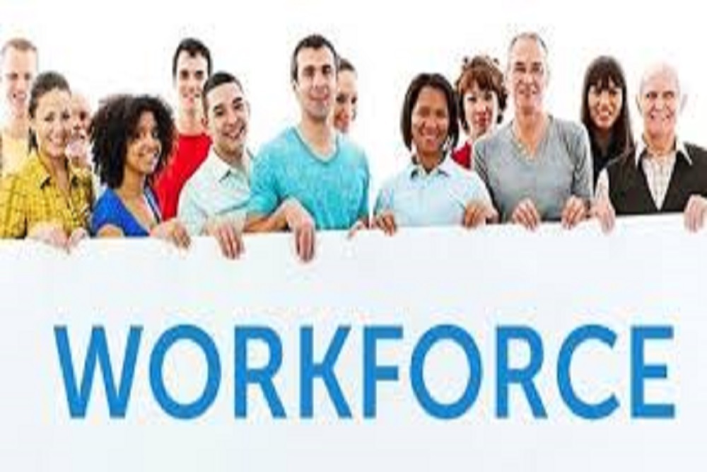 CITY OF MINNEAPOLIS: Minnesota Workforce System Rebrands Under CareerForce
