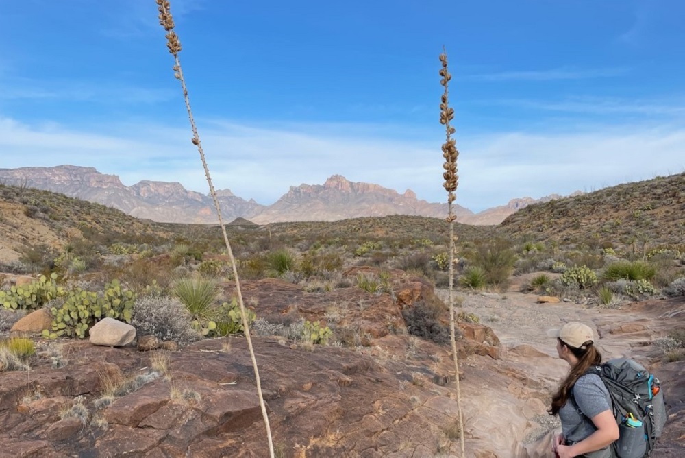 National park visitors in Texas spent 0.5 million in 2021, study finds
