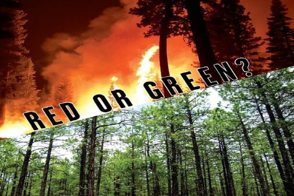 Red or Green?