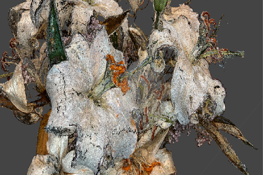 Professors Explore Horticultural Connections Through a Residency at Denver Botanic Gardens