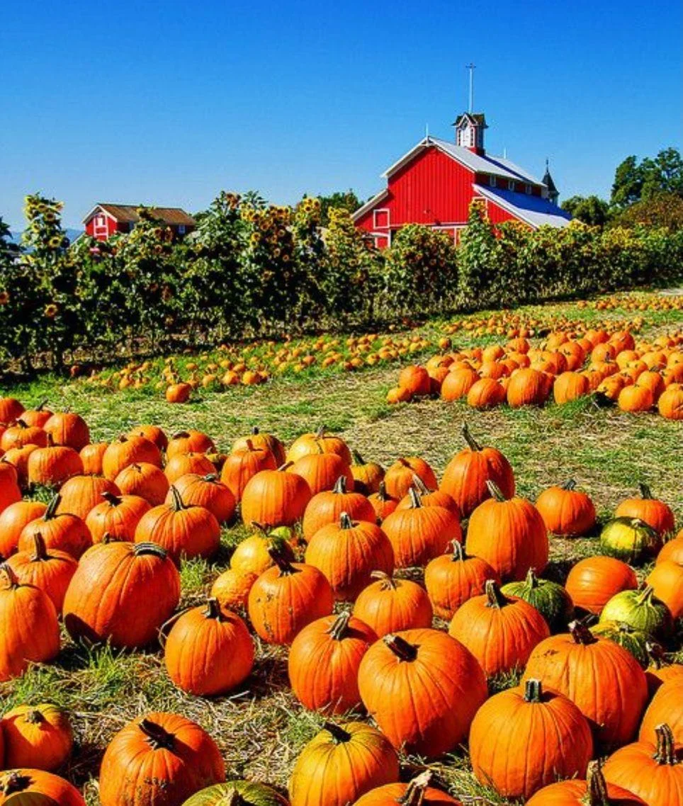 The Crafty Farmer November Swap The Crafty Farmer November Swap