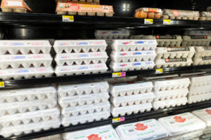 Egg prices are high, could go higher Egg prices are high, could go higher
