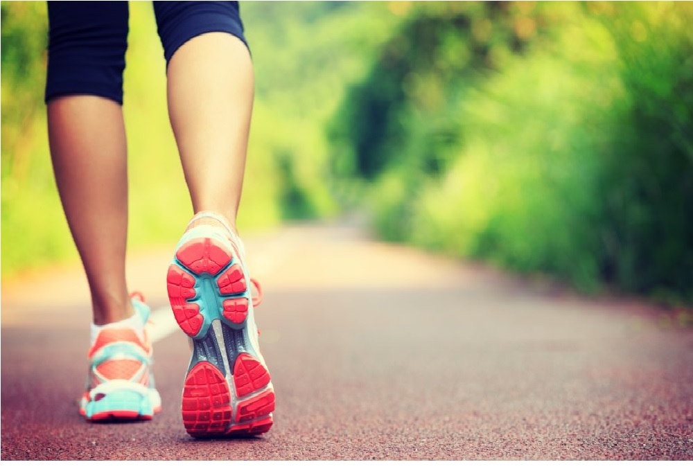 ANNE ARUNDEL COUNTY – MD: Walk & Roll Anne Arundel