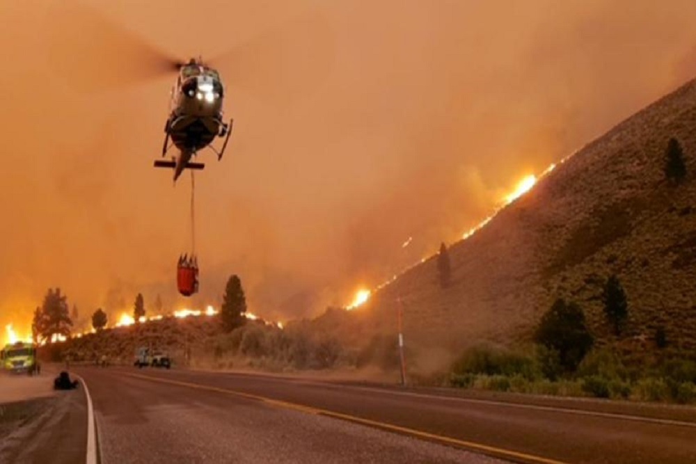 Find your Future in the Wildland Fire Training Program