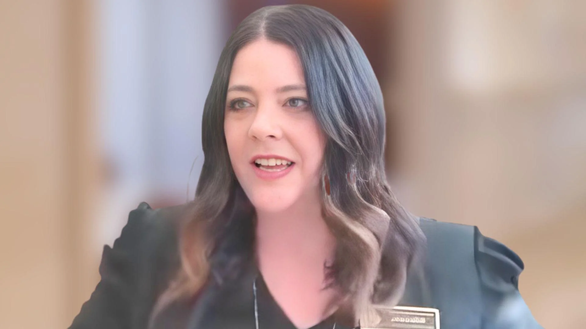 Lisa Mazur, Representative for New Hampshire - Facebook