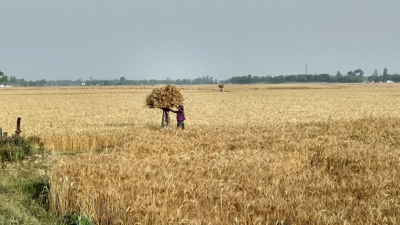 Happy National Ag Day Happy National Ag Day