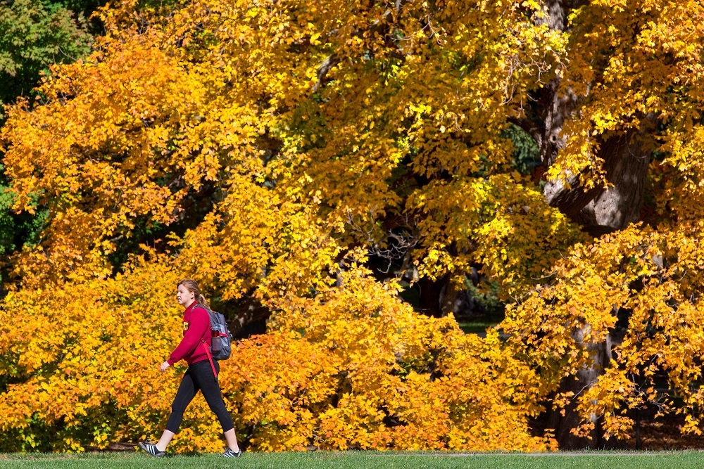 Exercise post-vaccine bumps up antibodies, new study finds