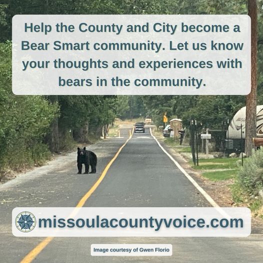 Help the Country and City Become a Bear Smart Community