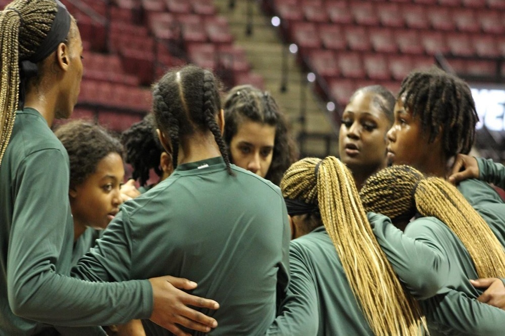 Dolphins Fall to Seminoles for First Loss of Season