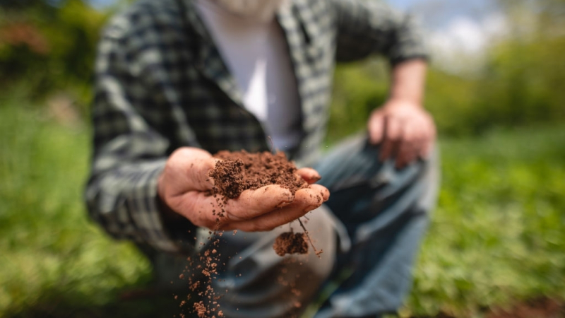 Georgia Agriculture Awareness Week Celebrates Farmers