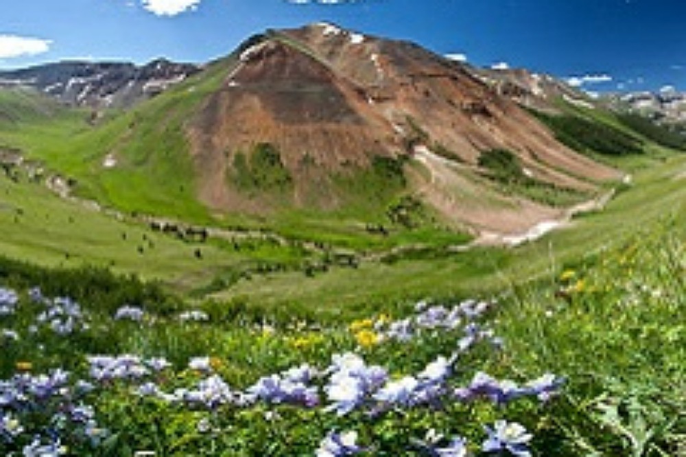 Free Saturday Tours Free Saturday Tours