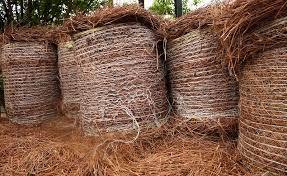 COUNTY OF BURKE: Free Bulk Mulch Beginning February 13 – May 13, 2023 COUNTY OF BURKE: Free Bulk Mulch Beginning February 13 – May 13, 2023