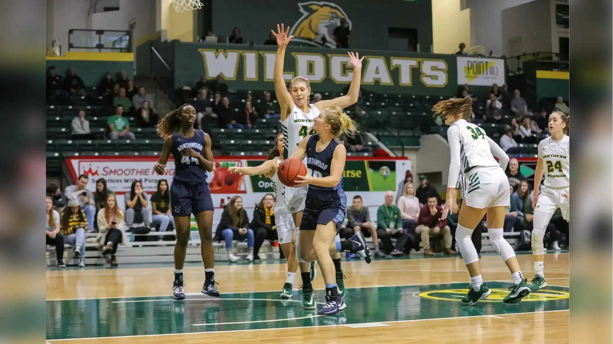 Northern Michigan Wildcats Women's Basketball Northern Michigan Wildcats Women's Basketball