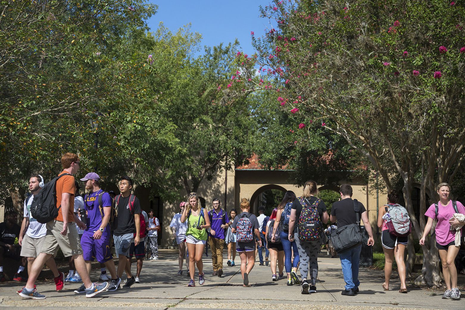 LSU, Southern Buck Declining Enrollment Trend, Here’s How