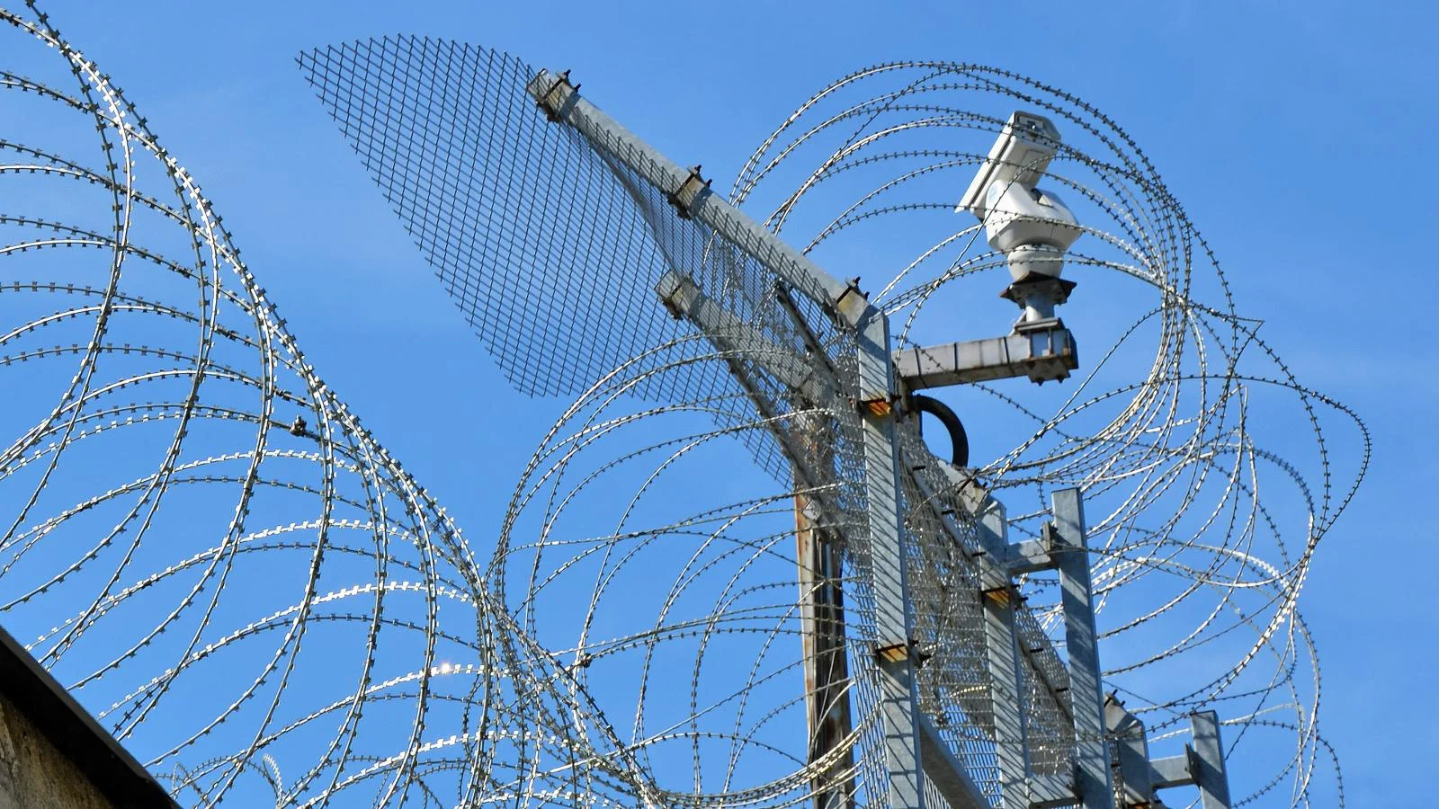 Clark County is home to 31 Asian inmates in Q4 2022 Clark County is home to 31 Asian inmates in Q4 2022